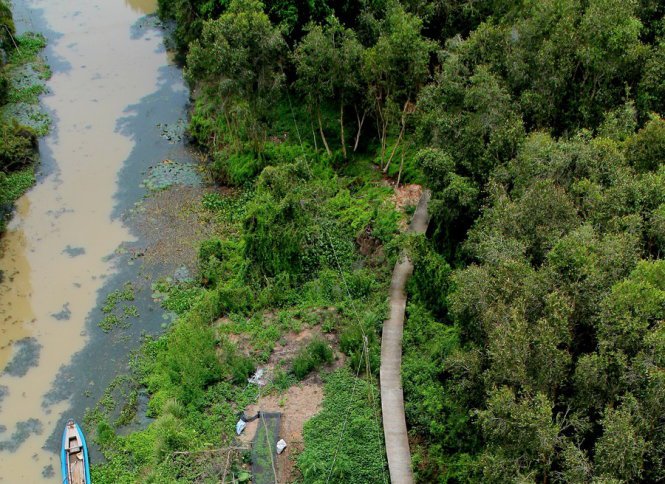 Một góc con đường xuyên rừng tràm nhìn từ tháp canh thứ nhất – Ảnh: XUÂN LỘC Một góc con đường xuyên rừng tràm nhìn từ tháp canh thứ nhất – Ảnh: XUÂN LỘC